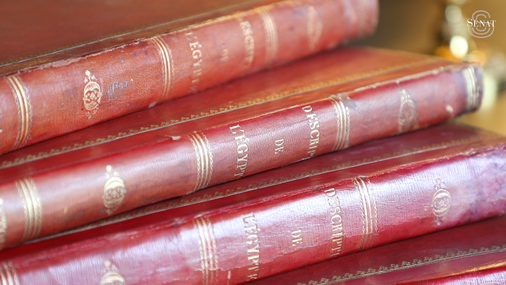 Trésors du Sénat : le meuble égyptien et les 23 volumes de " La Description de l'Égypte"